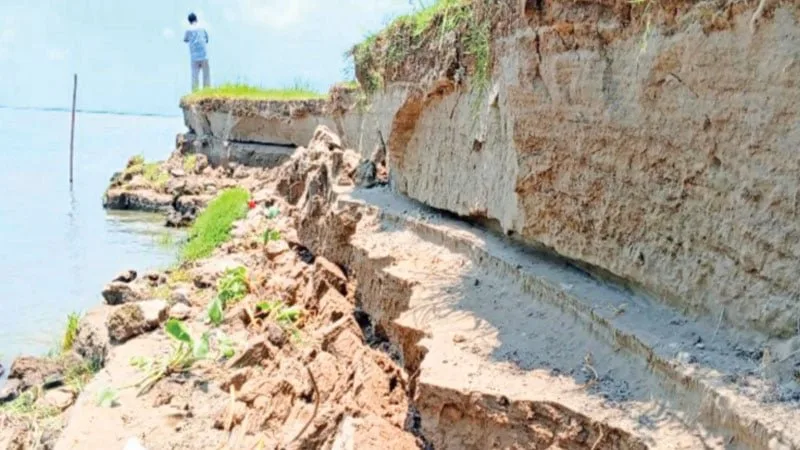 বর্ষা শেষ হলেও পদ্মায় নদীভাঙন অব্যাহত, সদরপুরে হাজার হাজার পরিবার আতঙ্কে
