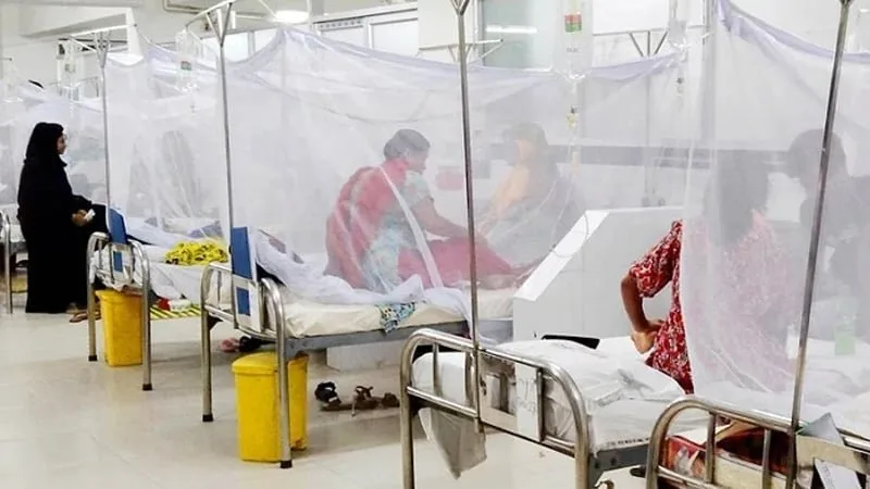 ডেঙ্গু আক্রান্ত ১০ জনের মৃত্যু, ১৯৪৩ রোগী হাসপাতালে ভর্তি
