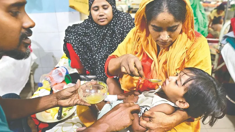 তটবর্তী জেলায় ডেঙ্গু প্রাদুর্ভাব: ৪০ শতাংশ রোগী, বিশেষ প্রতিরোধ পরিকল্পনা নেই