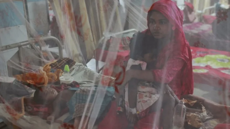 ডেঙ্গু বিস্ফোরণ: সরকারি প্রস্তুতির প্রশ্ন উঠছে