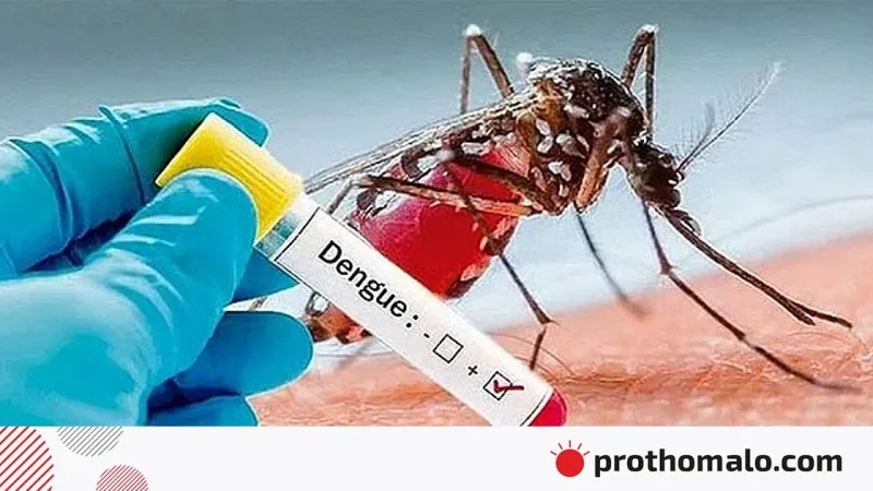 ডেঙ্গুতে মৃত্যু ৪০০ পার হলো