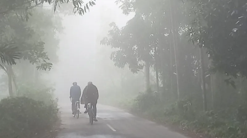 এল নিনোর প্রভাব: এ বছরের শীত কতটা তীব্র হবে তা অনিশ্চিত, বিশেষজ্ঞরা ভিন্ন মতামত