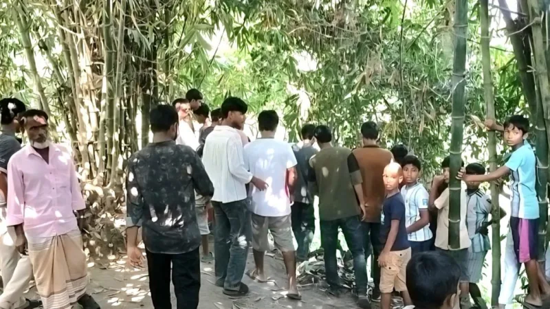কুমিল্লা মুরাদনগরে শিপন মিয়ার ছুরিকাঘাতে মাসুদ মিয়া নিহত