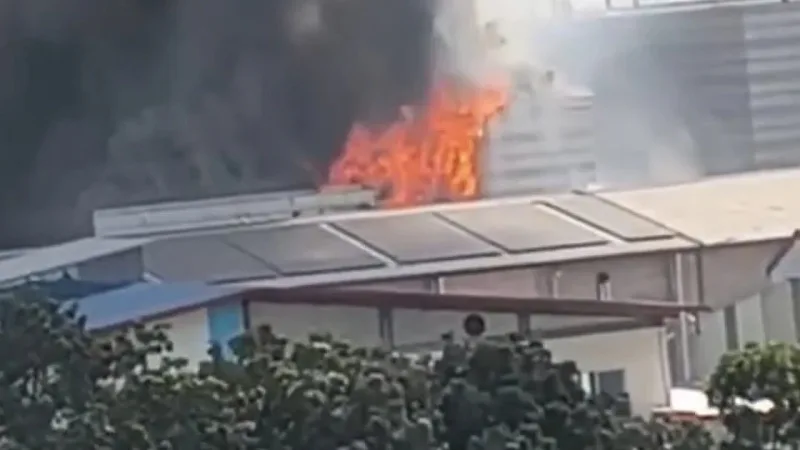 টঙ্গিতে এসেনশিয়াল ড্রাগ ইন্টারন্যাশনলে আগুন, ১৩টি ইউনিট কাজে
