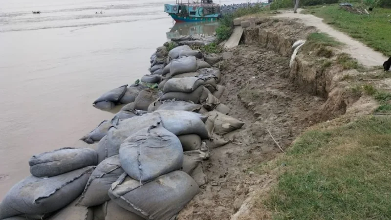 Madhumati নদীর বাঁধ ভেঙে বন্যার আশঙ্কা