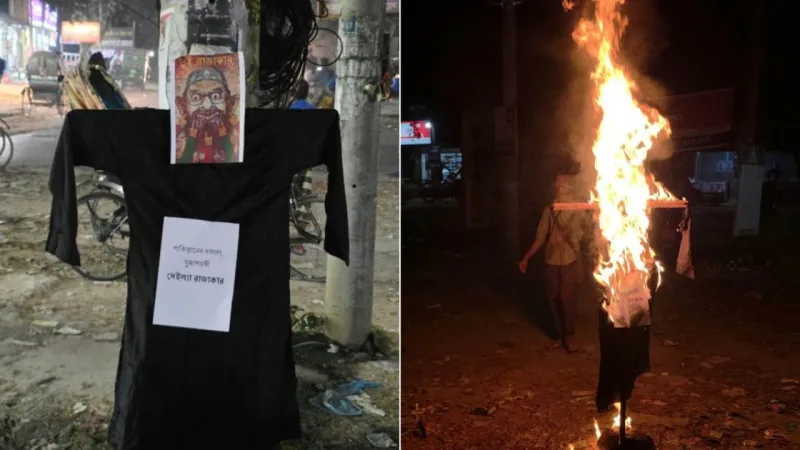 জাবি শিক্ষার্থীরা সাঈদীর কুশপুত্তলিকা দাহ করে মানিকের দাফনে প্রতিবাদ