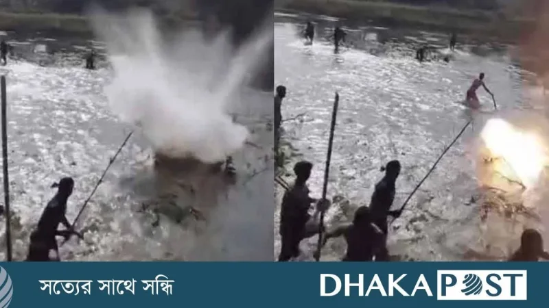 লালমনিরহাটের পাটগ্রাম সীমান্তে বিএসএফের অনুপ্রবেশ ও গুলিবর্ষণ