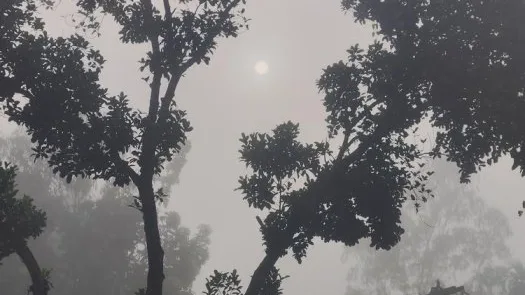 পঞ্চগড়ের তেঁতুলিয়ায় সর্বনিম্ন তাপমাত্রা ১৭ ডিগ্রি, শীতের অনুভূতি বেড়েছে