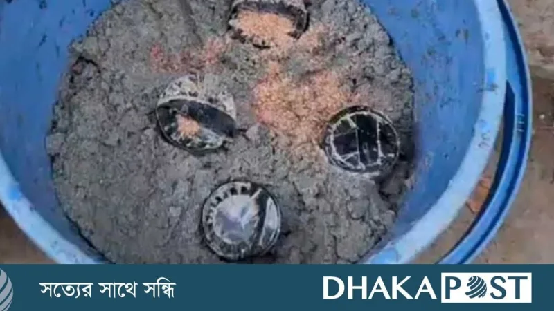রমনায় ককটেল হামলা: গ্রেপ্তার ২ আসামির তথ্যে মিলল আরও ৪ ককটেল