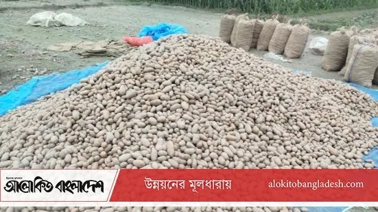 রংপুরে হিমাগার আলুতে ২ হাজার কোটি টাকার ক্ষতি, প্রথম আলোতে অভিনেতার জীবনী