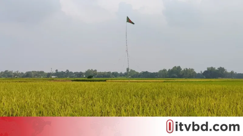 টাঙ্গাইলে গ্রামবাসীদের উদ্যোগে চাঁদা তুলে কেনা হলো খেলার মাঠের জমি